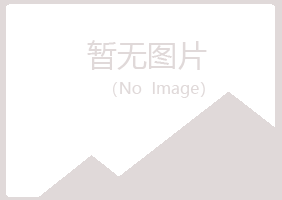 龙岩白山会计有限公司